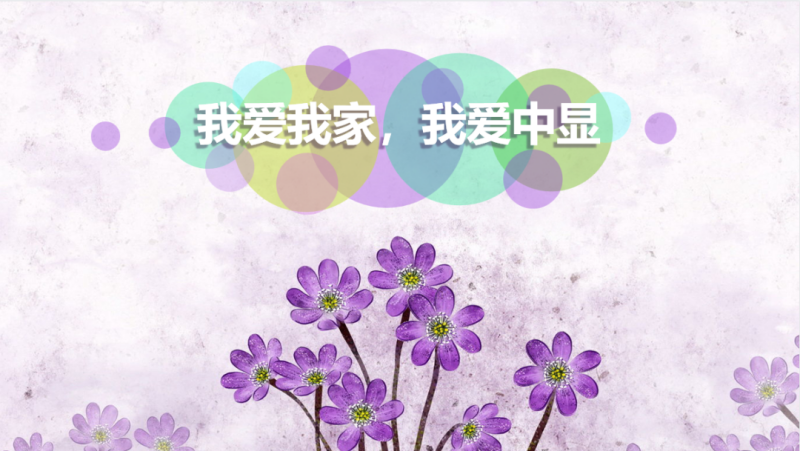 植樹節主題活動——“我愛我家 我愛中顯”部門花園建設PK